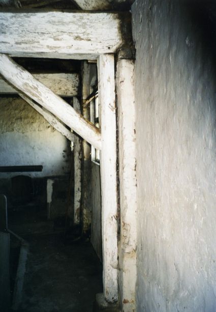 SWI003.JPG